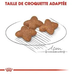 Royal Canin - Croquettes Mini Adult Pour Chien 15 Royal Canin - Croquettes Mini Adult Pour Chien -Nourriture pour chien Soldes 67051