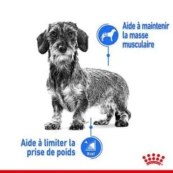 Royal Canin - Croquettes Mini Light Weight Care Pour Chien - 8Kg 12 Royal Canin - Croquettes Mini Light Weight Care Pour Chien - 8Kg -Nourriture pour chien Soldes 67069