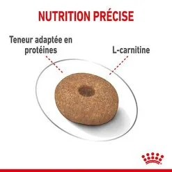 Royal Canin - Croquettes Mini Light Weight Care Pour Chien - 8Kg 14 Royal Canin - Croquettes Mini Light Weight Care Pour Chien - 8Kg -Nourriture pour chien Soldes 67071
