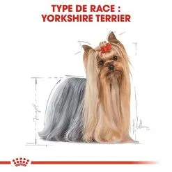 Royal Canin - Croquettes Yorkshire Terrier Pour Chien Adulte -Nourriture pour chien Soldes 67075