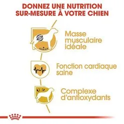 Royal Canin - Croquettes Boxer Pour Chien Adulte - 12Kg -Nourriture pour chien Soldes 67107