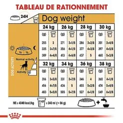 Royal Canin - Croquettes Boxer Pour Chien Adulte - 12Kg -Nourriture pour chien Soldes 67108