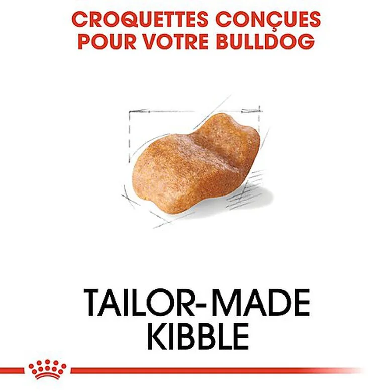 Royal Canin - Croquettes Bulldog Pour Chien Adulte 6 Royal Canin - Croquettes Bulldog Pour Chien Adulte – Image 4
