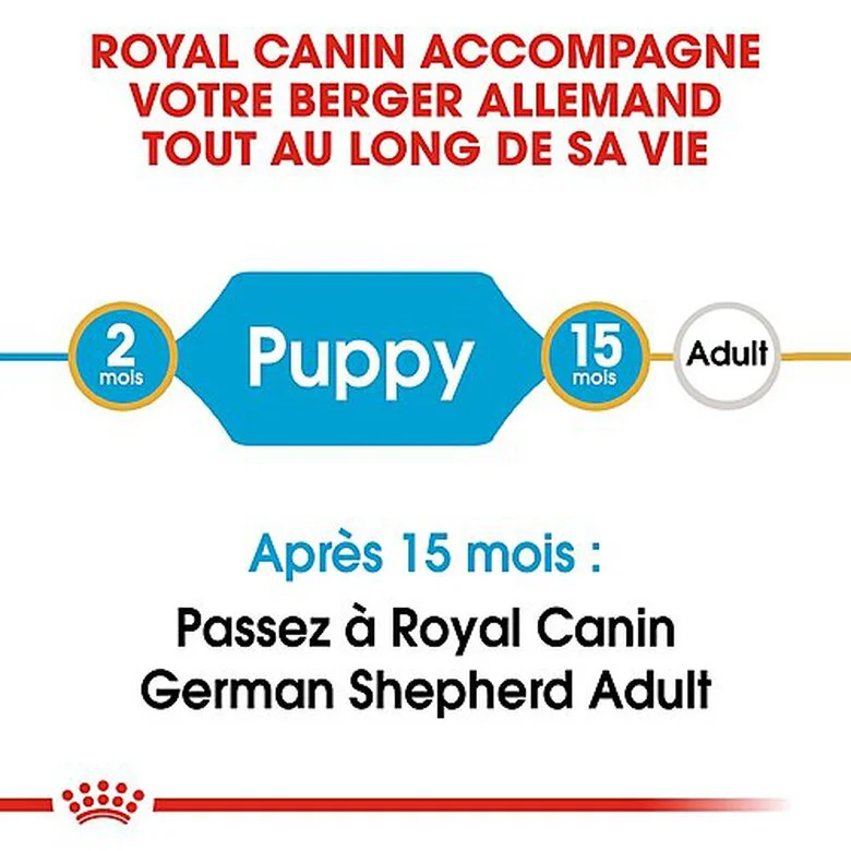 Royal Canin - Croquettes Berger Allemand Junior Pour Chiot 4 Royal Canin - Croquettes Berger Allemand Junior Pour Chiot – Image 2