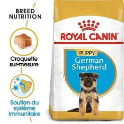 Royal Canin - Croquettes Berger Allemand Junior Pour Chiot 11 Royal Canin - Croquettes Berger Allemand Junior Pour Chiot -Nourriture pour chien Soldes 67177