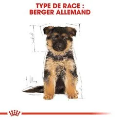Royal Canin - Croquettes Berger Allemand Junior Pour Chiot 14 Royal Canin - Croquettes Berger Allemand Junior Pour Chiot -Nourriture pour chien Soldes 67179