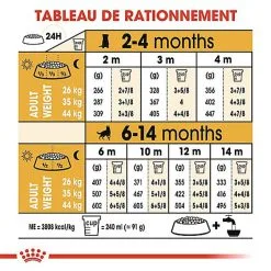 Royal Canin - Croquettes Berger Allemand Junior Pour Chiot 15 Royal Canin - Croquettes Berger Allemand Junior Pour Chiot -Nourriture pour chien Soldes 67180