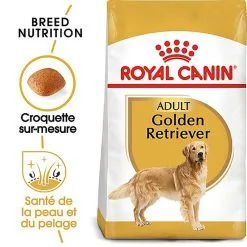 Royal Canin - Croquettes Golden Retriever Pour Chien Adulte -Nourriture pour chien Soldes 67280