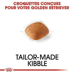 Royal Canin - Croquettes Golden Retriever Pour Chien Adulte -Nourriture pour chien Soldes 67281
