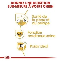 Royal Canin - Croquettes Golden Retriever Pour Chien Adulte -Nourriture pour chien Soldes 67282