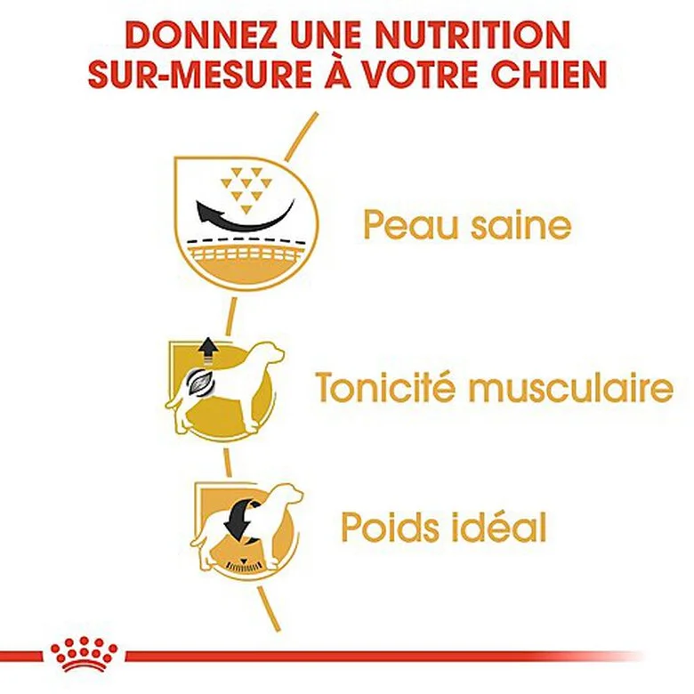Royal Canin - Croquettes Carlin Pour Chien Adulte - 1,5Kg 7 Royal Canin - Croquettes Carlin Pour Chien Adulte - 1,5Kg – Image 5