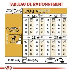 Royal Canin - Croquettes Chihuahua Pour Chien Adulte -Nourriture pour chien Soldes 67352