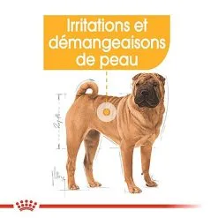 Royal Canin - Croquettes Medium Dermacomfort Pour Chien -Nourriture pour chien Soldes 67443
