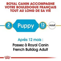 Royal Canin - Croquettes Bouledogue Français Junior Pour Chiot 13 Royal Canin - Croquettes Bouledogue Français Junior Pour Chiot -Nourriture pour chien Soldes 67465
