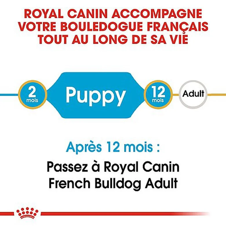 Royal Canin - Croquettes Bouledogue Français Junior Pour Chiot 5 Royal Canin - Croquettes Bouledogue Français Junior Pour Chiot – Image 3