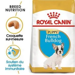 Royal Canin - Croquettes Bouledogue Français Junior Pour Chiot 14 Royal Canin - Croquettes Bouledogue Français Junior Pour Chiot -Nourriture pour chien Soldes 67466