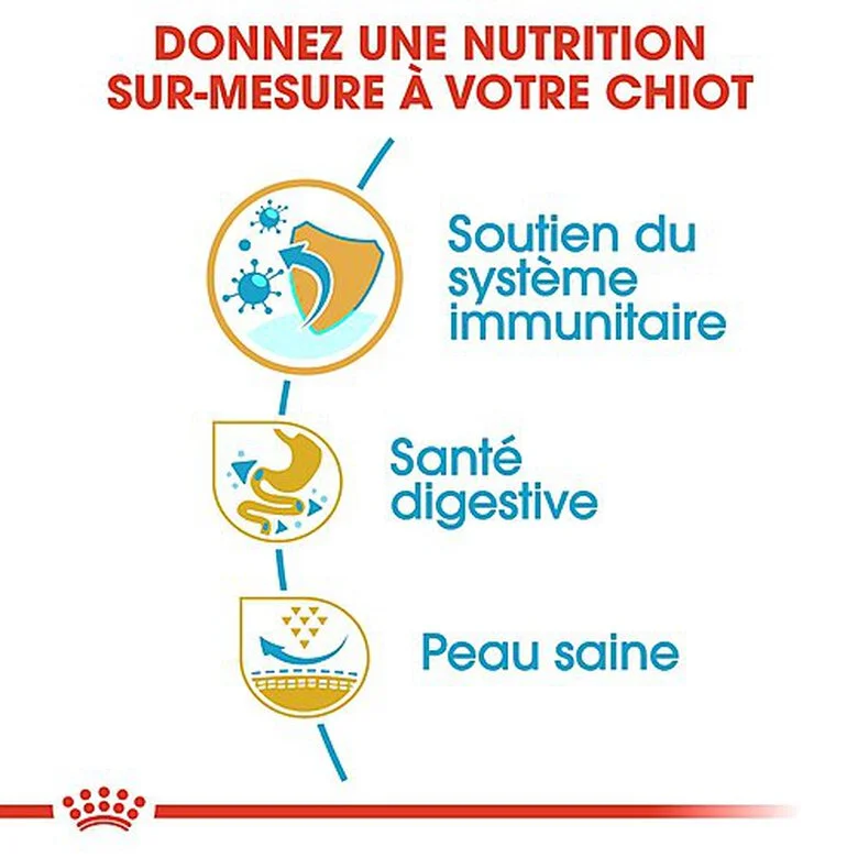 Royal Canin - Croquettes Bouledogue Français Junior Pour Chiot 8 Royal Canin - Croquettes Bouledogue Français Junior Pour Chiot – Image 6