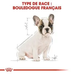 Royal Canin - Croquettes Bouledogue Français Junior Pour Chiot 17 Royal Canin - Croquettes Bouledogue Français Junior Pour Chiot -Nourriture pour chien Soldes 67469