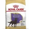 Royal Canin - Croquettes Labrador Pour Chien Stérilisé - 12Kg -Nourriture pour chien Soldes 67584