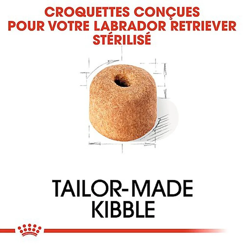 Royal Canin - Croquettes Labrador Pour Chien Stérilisé - 12Kg 6 Royal Canin - Croquettes Labrador Pour Chien Stérilisé - 12Kg – Image 4