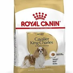 Royal Canin - Croquettes Cavalier King Charles Pour Chien Adulte