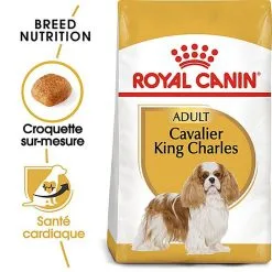 Royal Canin - Croquettes Cavalier King Charles Pour Chien Adulte -Nourriture pour chien Soldes 67593