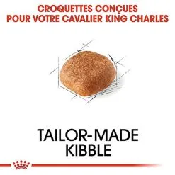 Royal Canin - Croquettes Cavalier King Charles Pour Chien Adulte -Nourriture pour chien Soldes 67594