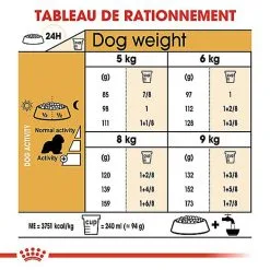 Royal Canin - Croquettes Cavalier King Charles Pour Chien Adulte -Nourriture pour chien Soldes 67596