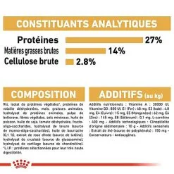 Royal Canin - Croquettes Cavalier King Charles Pour Chien Adulte -Nourriture pour chien Soldes 67597