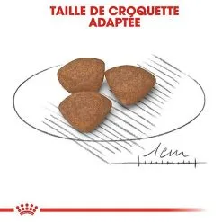 Royal Canin - Croquettes Mini Puppy Pour Chiot -Nourriture pour chien Soldes 67633