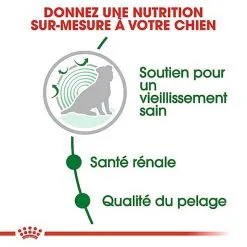 Royal Canin - Croquettes Mini Ageing 12+ Pour Chien Senior - 3,5Kg -Nourriture pour chien Soldes 67646