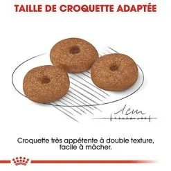 Royal Canin - Croquettes Mini Ageing 12+ Pour Chien Senior - 3,5Kg -Nourriture pour chien Soldes 67647