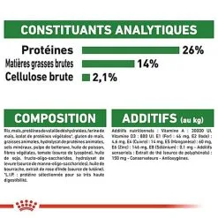 Royal Canin - Croquettes Mini Ageing 12+ Pour Chien Senior - 3,5Kg -Nourriture pour chien Soldes 67649