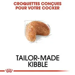 Royal Canin - Croquettes Cocker Pour Chien Adulte -Nourriture pour chien Soldes 67780