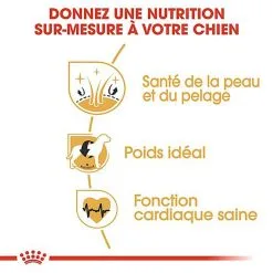 Royal Canin - Croquettes Cocker Pour Chien Adulte -Nourriture pour chien Soldes 67781