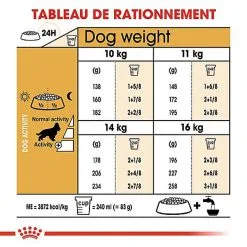 Royal Canin - Croquettes Cocker Pour Chien Adulte -Nourriture pour chien Soldes 67782