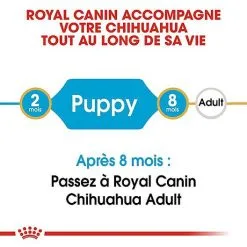 Royal Canin - Croquettes Chihuahua Junior Pour Chiot - 1,5Kg -Nourriture pour chien Soldes 67800