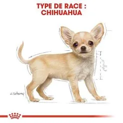 Royal Canin - Croquettes Chihuahua Junior Pour Chiot - 1,5Kg -Nourriture pour chien Soldes 67804