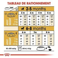 Royal Canin - Croquettes Chihuahua Junior Pour Chiot - 1,5Kg -Nourriture pour chien Soldes 67805