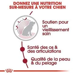 Royal Canin - Croquettes Medium Ageing 10+ Pour Chien Senior - 3Kg -Nourriture pour chien Soldes 67945