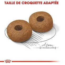 Royal Canin - Croquettes Medium Ageing 10+ Pour Chien Senior - 3Kg -Nourriture pour chien Soldes 67946