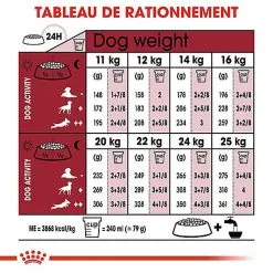 Royal Canin - Croquettes Medium Ageing 10+ Pour Chien Senior - 3Kg -Nourriture pour chien Soldes 67948