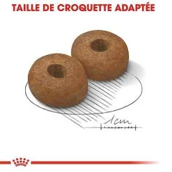 Royal Canin - Croquettes Maxi Ageing 8+ Pour Chien Senior - 3Kg -Nourriture pour chien Soldes 67953