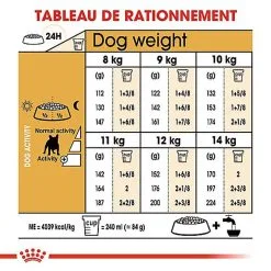 Royal Canin - Croquettes Bouledogue Français Adulte Pour Chien - 9Kg -Nourriture pour chien Soldes 68001