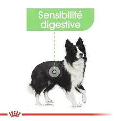 Royal Canin - Croquettes Digestive Care Pour Chien - 3Kg 12 Royal Canin - Croquettes Digestive Care Pour Chien - 3Kg -Nourriture pour chien Soldes 68005