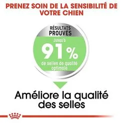 Royal Canin - Croquettes Digestive Care Pour Chien - 3Kg 13 Royal Canin - Croquettes Digestive Care Pour Chien - 3Kg -Nourriture pour chien Soldes 68006