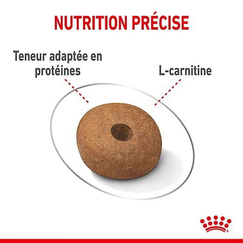 Royal Canin - Croquettes Medium Light Weight Care Pour Chien - 3Kg 7 Royal Canin - Croquettes Medium Light Weight Care Pour Chien - 3Kg – Image 5