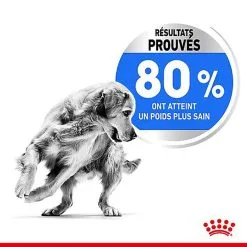 Royal Canin - Croquettes Medium Light Weight Care Pour Chien - 3Kg 13 Royal Canin - Croquettes Medium Light Weight Care Pour Chien - 3Kg -Nourriture pour chien Soldes 68015
