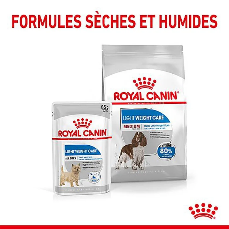 Royal Canin - Croquettes Medium Light Weight Care Pour Chien - 3Kg 8 Royal Canin - Croquettes Medium Light Weight Care Pour Chien - 3Kg – Image 6