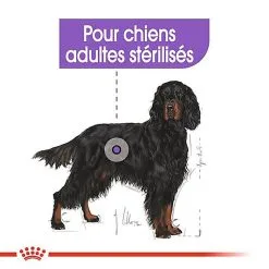 Royal Canin - Croquettes Maxi Sterilised Pour Chien Adulte Stérilisé - 3Kg -Nourriture pour chien Soldes 68021